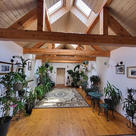 Hostel Cosmopolitan* Banská Štiavnica Exteriér fotografie