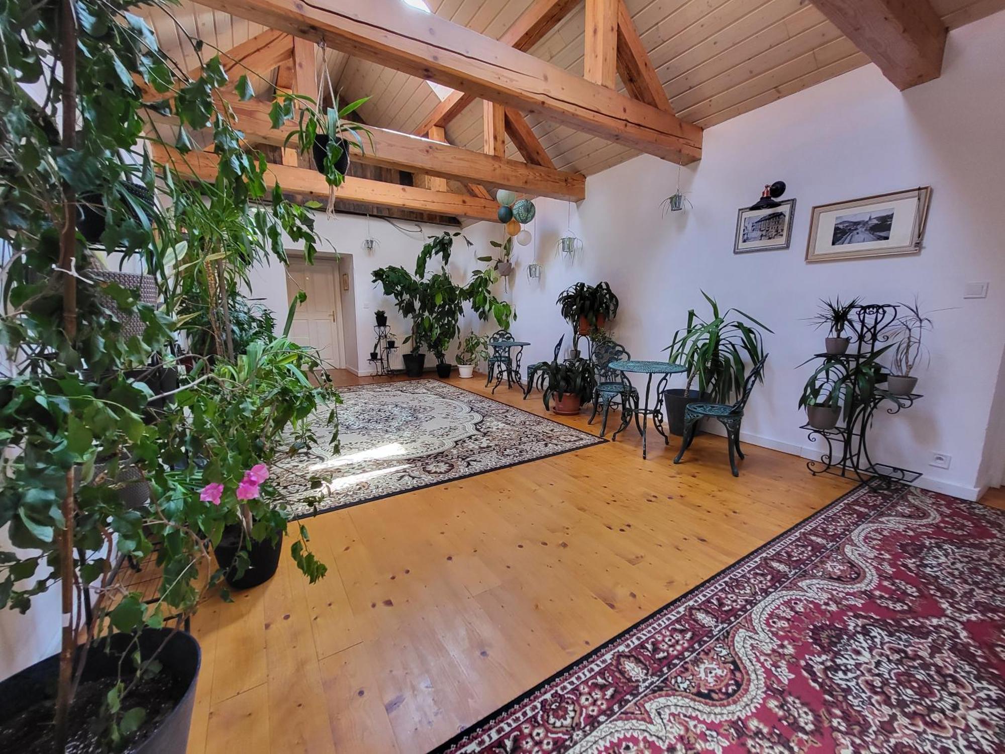 Hostel Cosmopolitan* Banská Štiavnica Exteriér fotografie